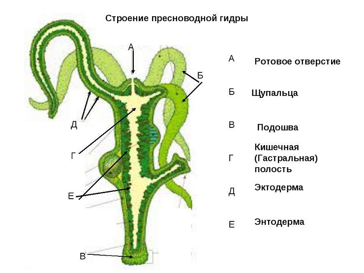 Кракен kr2web in сайт официальный